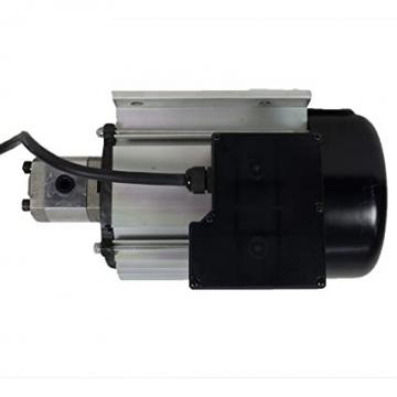 VESTIL BZD-2402Y Pompa Idraulica Motore Ameisestapler Per Genkinger Hubt