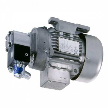 Aggregato Idraulico 230V 3kW Motore Pompa P. Es. Per Spaccalegna Trazione