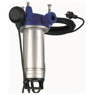 Elettropompa Motore Lowara 3HM3 Z/A HP 0,70 Autoclave Pompa x acqua multistadio