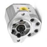 Sc Idraulico Non-Lubed Air-Driven Liquido Pompa, Pn: 10-6000W050 95:1 ( Nuovo IN